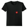 Youth Softstyle ® T Shirt Thumbnail
