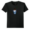 Youth Softstyle ® T Shirt Thumbnail