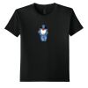 Youth Softstyle ® T Shirt Thumbnail