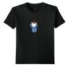 Youth Softstyle ® T Shirt Thumbnail