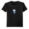 Youth Softstyle ® T Shirt Thumbnail