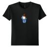 Youth Softstyle ® T Shirt Thumbnail